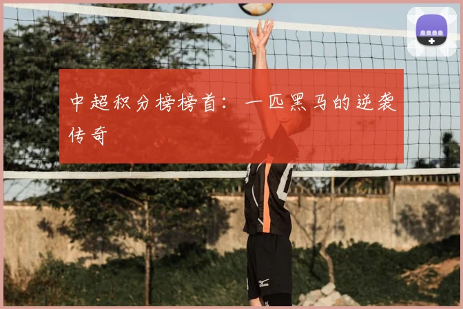 中超积分榜榜首：一匹黑马的逆袭传奇
