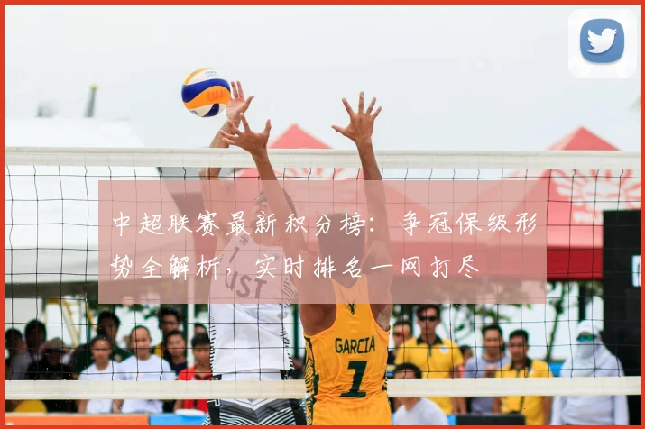 中超联赛最新积分榜:争冠保级形势全解析,实时排名一网打尽