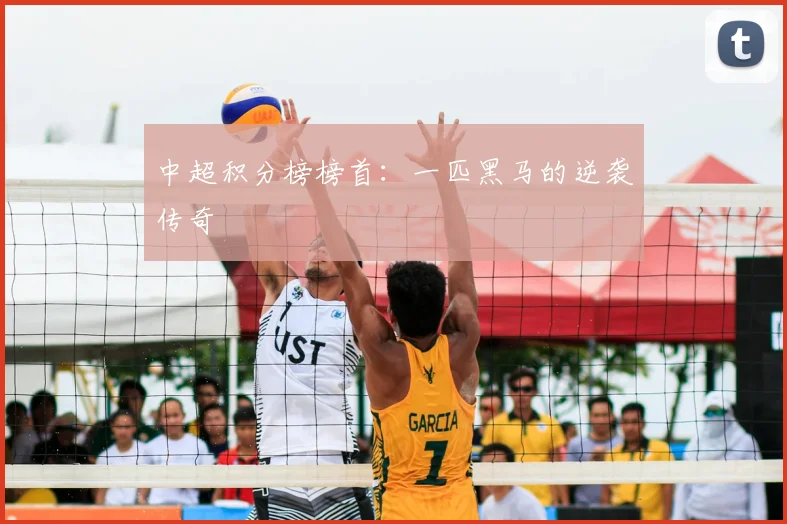 中超积分榜榜首：一匹黑马的逆袭传奇
